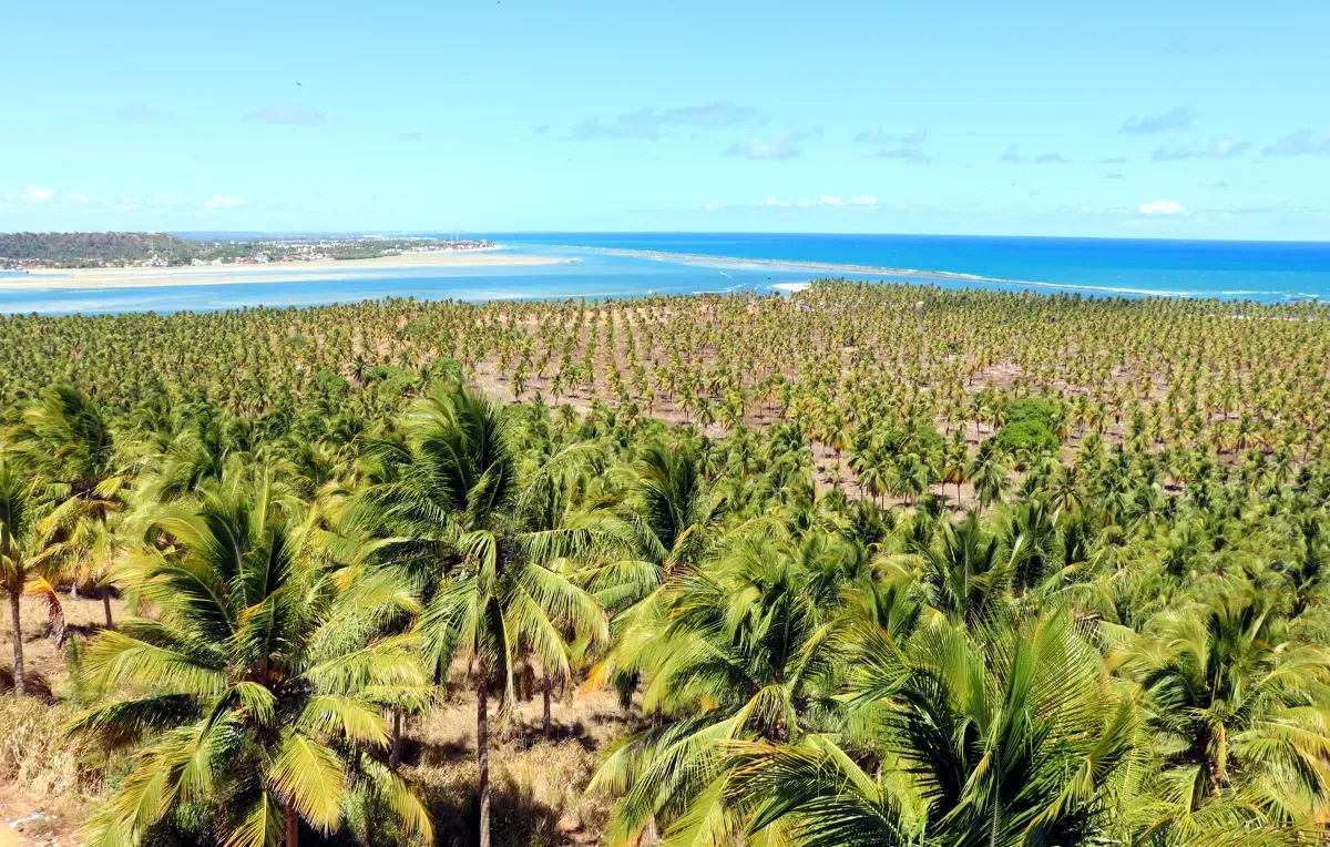 Imagem da galeria de Maceió